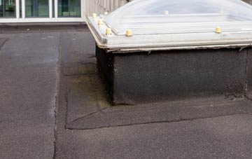 disadvantages of Haghill flat roofs