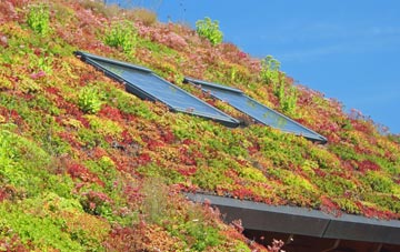 Haghill living roof systems