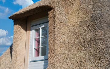 Haghill thatch roof disadvantages